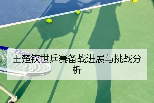 王楚钦世乒赛备战进展与挑战分析